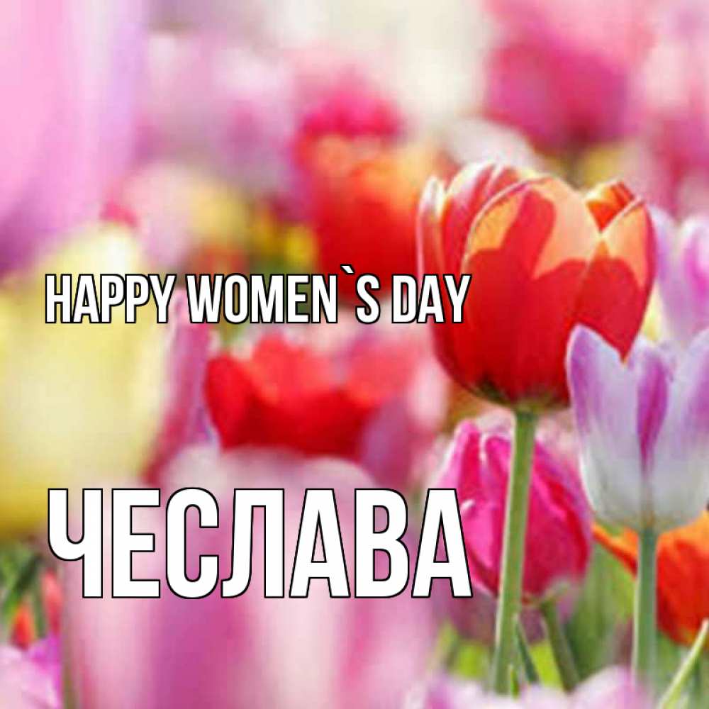 Greetings card с именем, Чеслава happy women`s day на международный женский день 2 Greetings with text for free download 